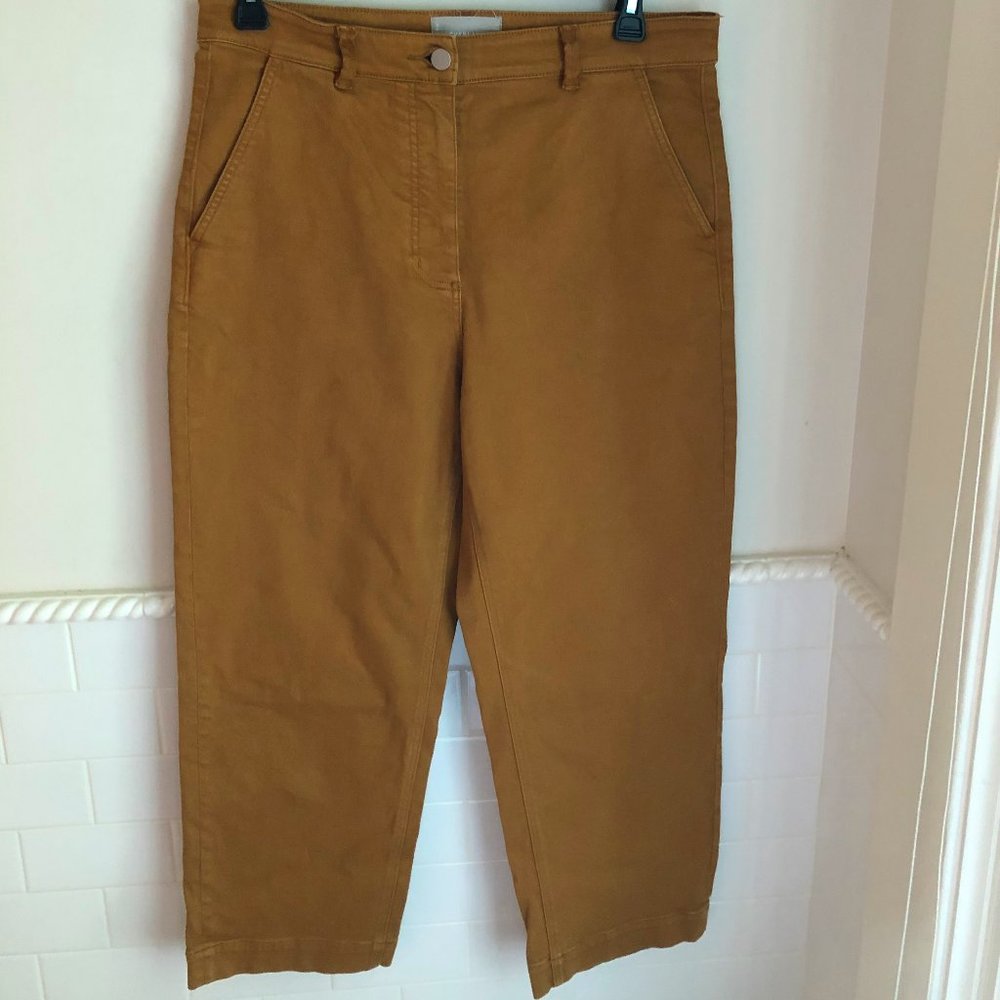 Everlane Khaki chino Tobacco brown cotton pants